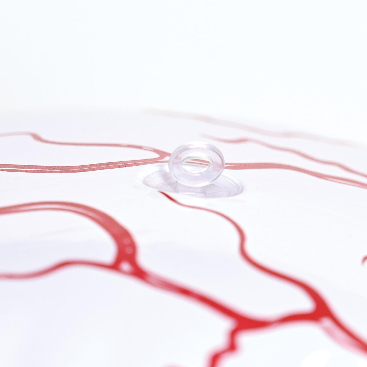 Bulk Inflatable Eyeball (Case of 12) by Beistle