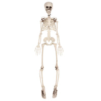 Halloween Plastic Skeleton Decoration