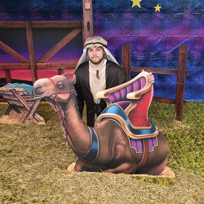 16 Pack Bulk Nativity Scene Stand-Ups