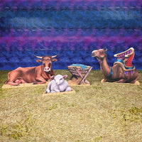 16 Pack Bulk Nativity Scene Stand-Ups