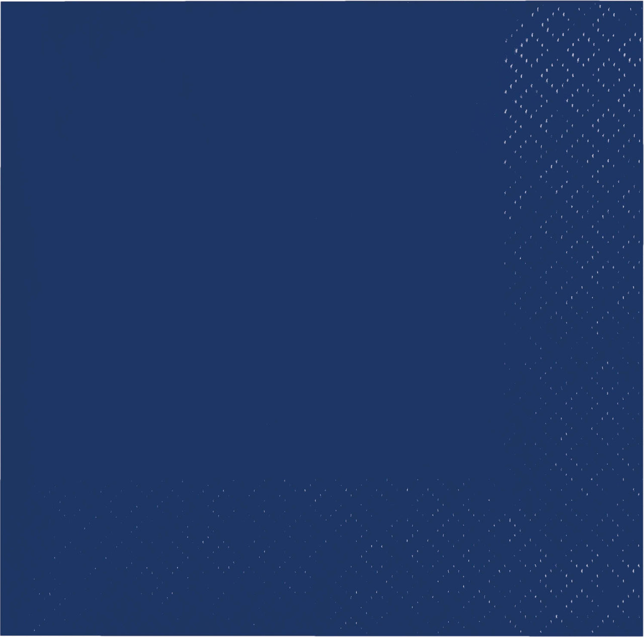 480 pc Bulk Navy 2Ply Beverage Napkin