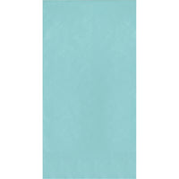 400ct Bulk Spa Blue 2Ply Dinner Napkin