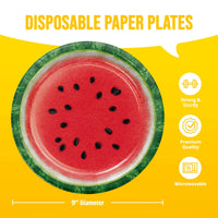 Summer Slice Dinner Plates 9