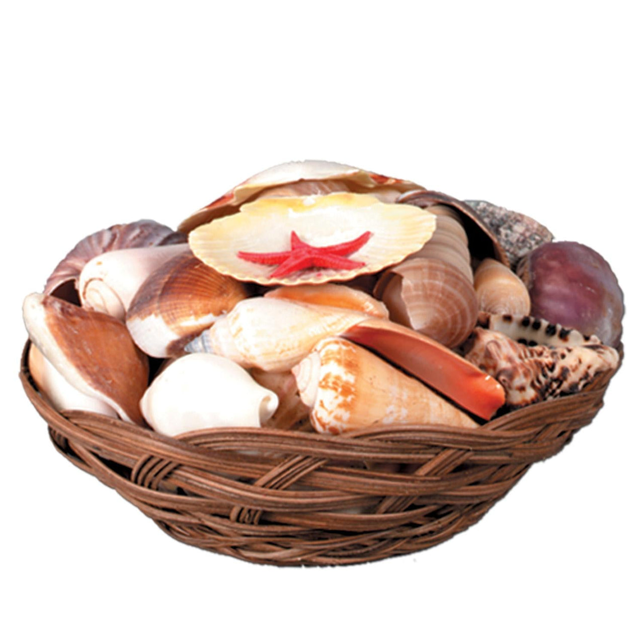 Luau Party Shell Basket - Bulk/6 Baskets