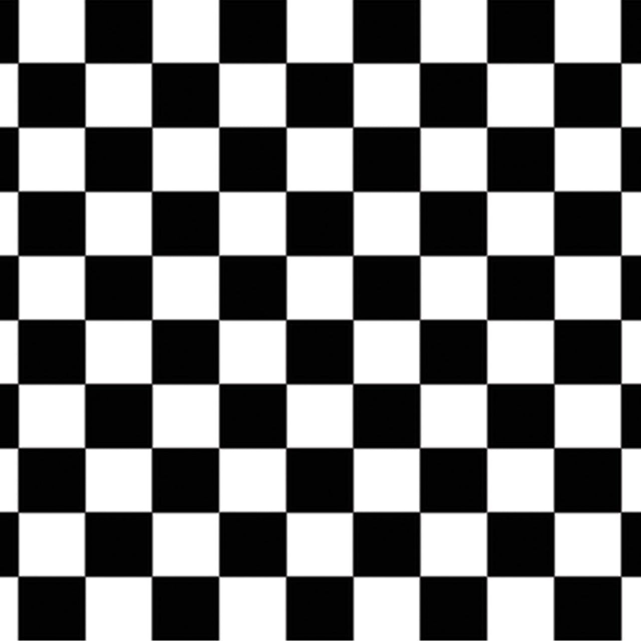 Checkered Party Backdrop - Bulk 6 Pack