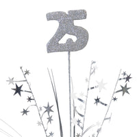 Bulk Glittered 25 Metallic Star Spray (Case of 12) by Beistle