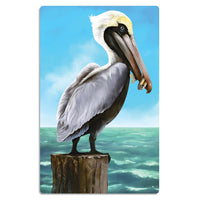 Pelican Party Cutout - Bulk 24 Pack