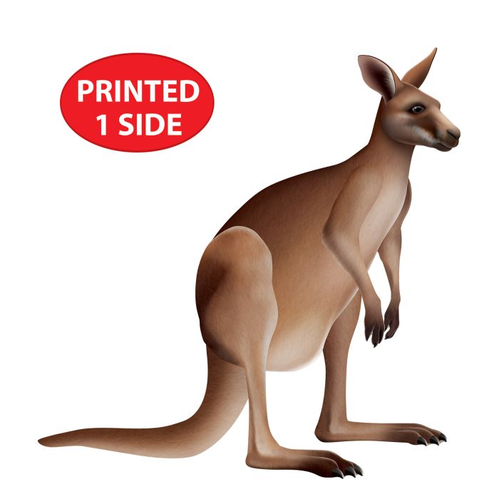 12 Pack Bulk Jointed Kangaroo Wall Decoration