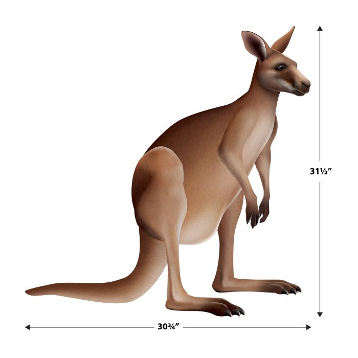 12 Pack Bulk Jointed Kangaroo Wall Decoration