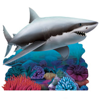 Shark Stand-Up, 3' 8.25
