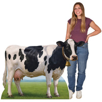 4 Pack Bulk Lifesize Cow Stand-Up Prop Farm & Western Decor