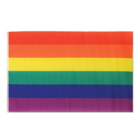 Rainbow Party Flag - Bulk/12 Flags