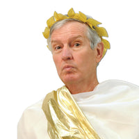 Fabric Roman Laurel Wreath- - Bulk/12 Wreaths