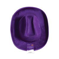 6 Pack Bulk Purple Velour Cowboy Hat One Size Fits Most
