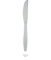 288/Case Bulk Shimmering Silver Plastic Knives