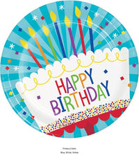96/Case Bulk Cake Birthday Paper Dinner Plates