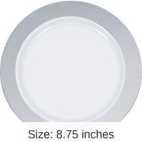 120/Case Bulk Silver Rim Plastic Dinner Plates