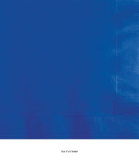600/Case Bulk Cobalt Blue 2 ply Beverage Napkins
