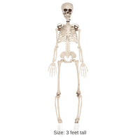 Halloween Plastic Skeleton Decoration