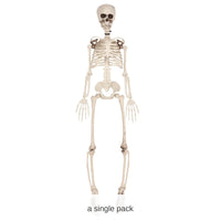 Halloween Plastic Skeleton Decoration
