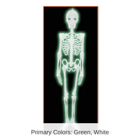 12 Pack Bulk Halloween Plastic Nite-Glo Skeleton