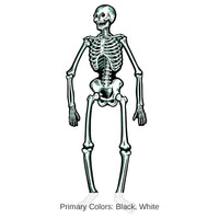 48 Piece Bulk Halloween Jointed Skeleton Decoration