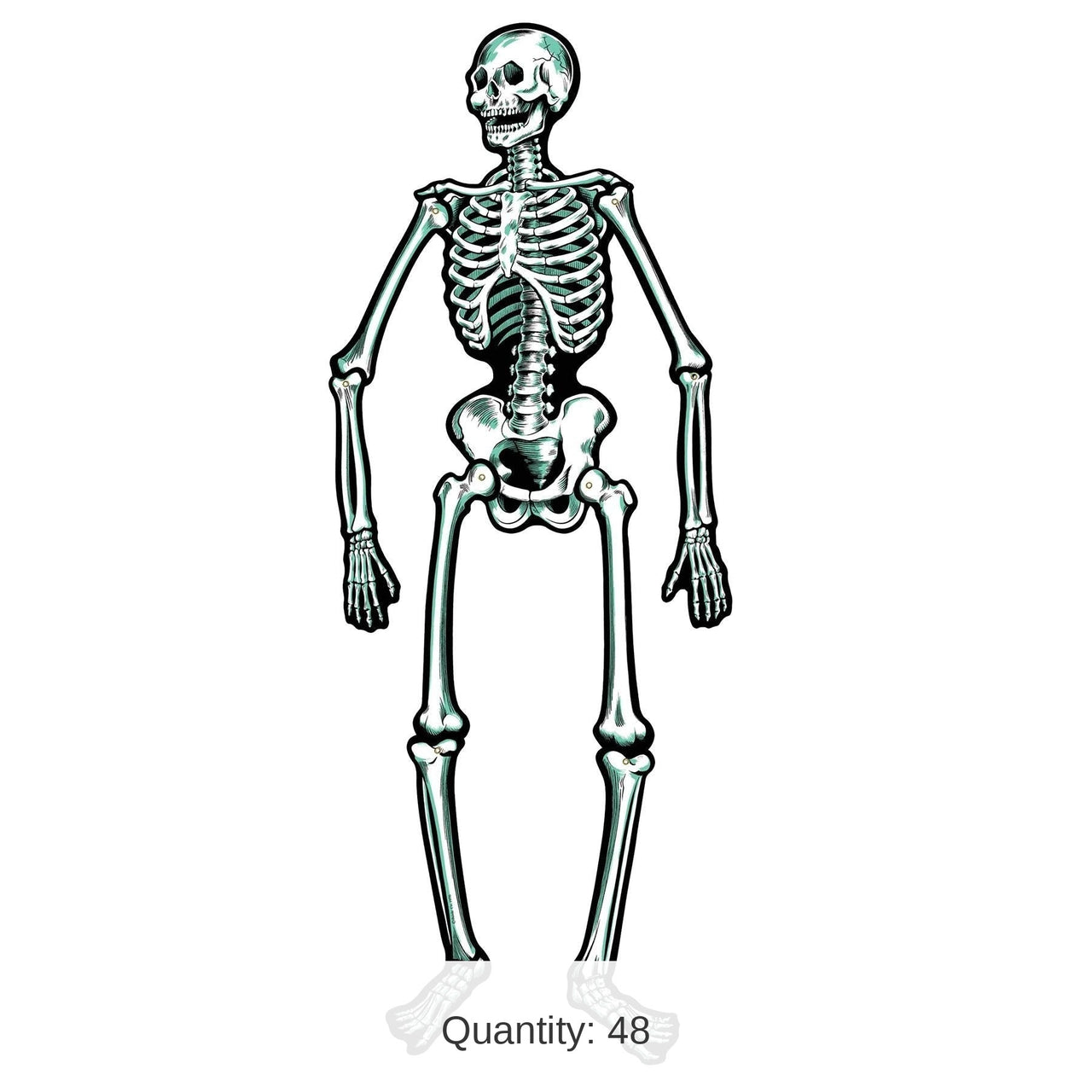 48 Piece Bulk Halloween Jointed Skeleton Decoration