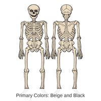 12 Pack Bulk Vintage Halloween Jointed Skeleton