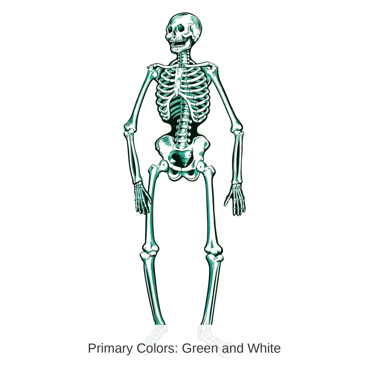 12 Pack Bulk Halloween Jointed Skeleton- Blue and White
