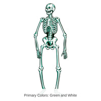12 Pack Bulk Halloween Jointed Skeleton- Blue and White