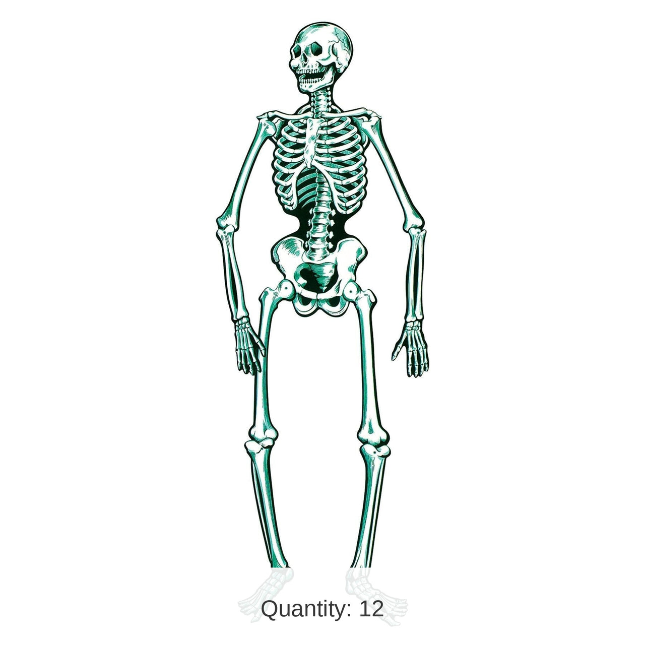 12 Pack Bulk Halloween Jointed Skeleton- Blue and White