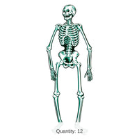 12 Pack Bulk Halloween Jointed Skeleton- Blue and White