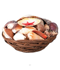 6 Pack Bulk Luau Party Shell Basket