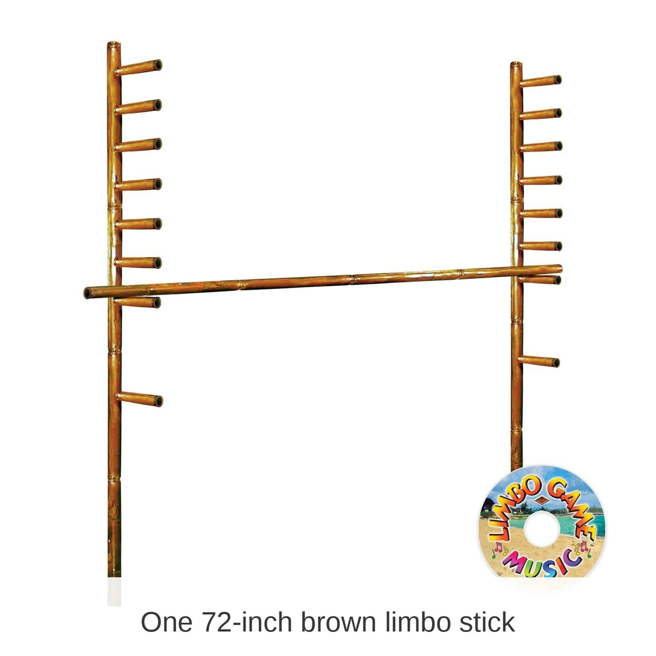 Luau Party Limbo Kit