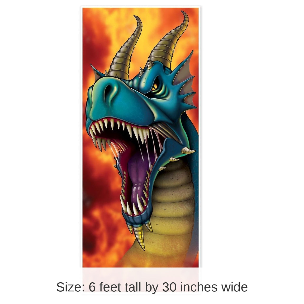 12 Pack Bulk Dragon Party Door Cover