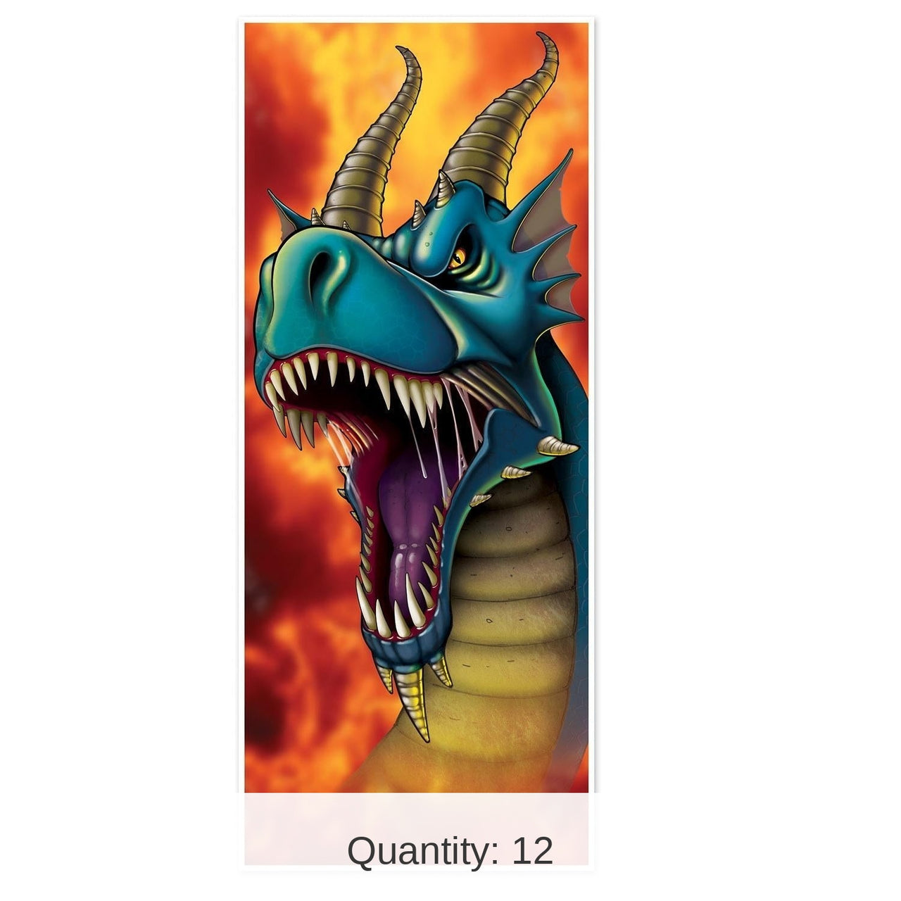 12 Pack Bulk Dragon Party Door Cover