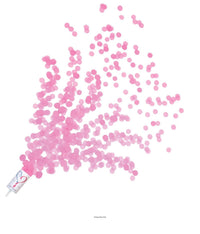 96 Pack Bulk Gender Reveal Push Up Confetti Poppers - pink