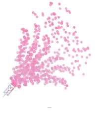 96 Pack Bulk Gender Reveal Push Up Confetti Poppers - pink
