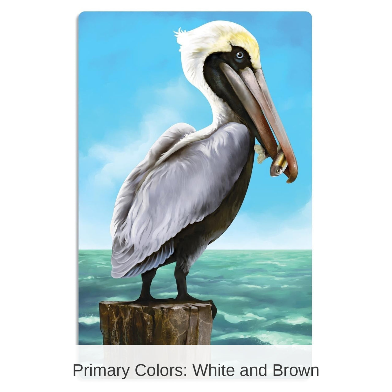 24 Pack Bulk Pelican Party Cutout