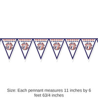 6 Pack Bulk Soccer Party Pennant Banner - France