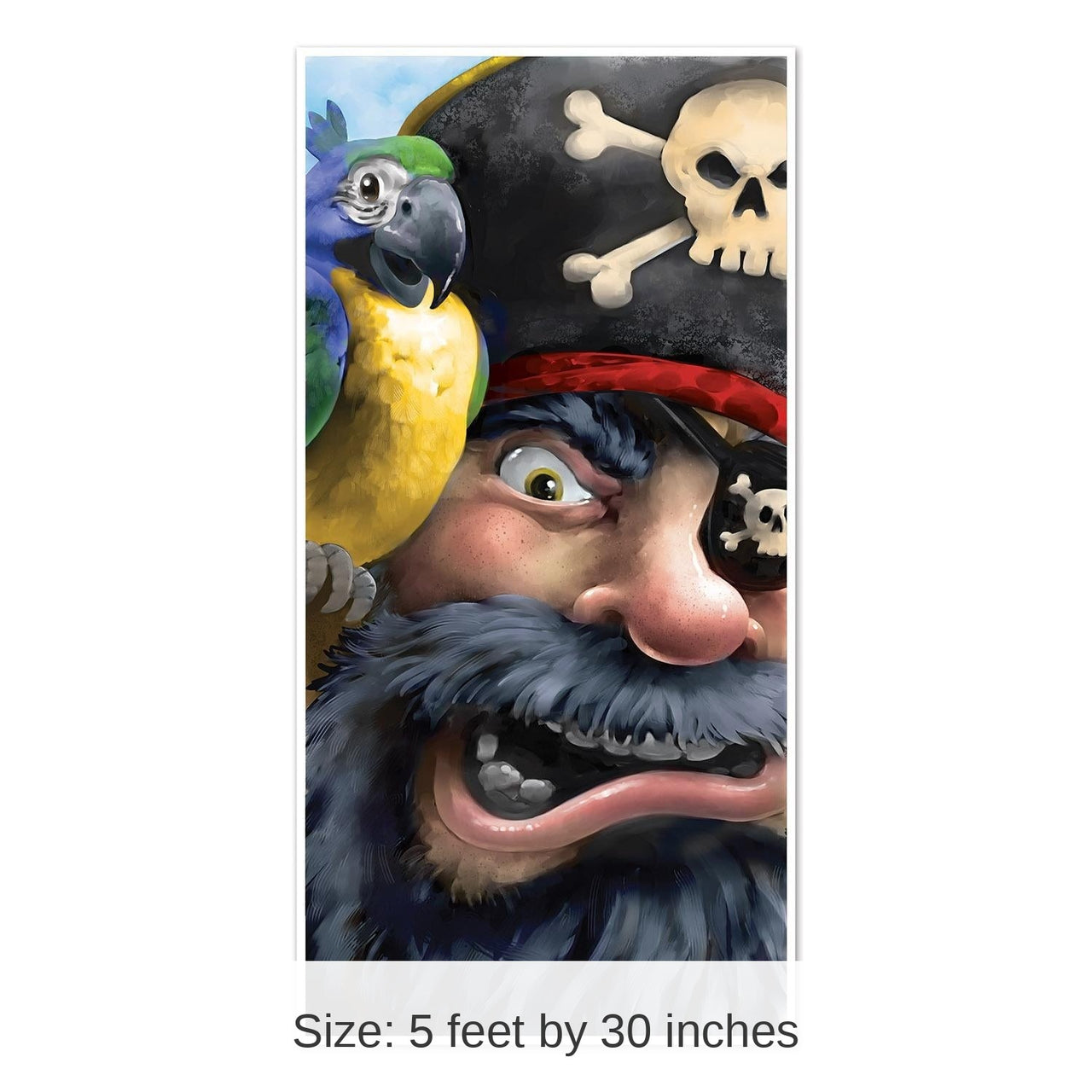 12 Pack Bulk Pirate Party Door Cover