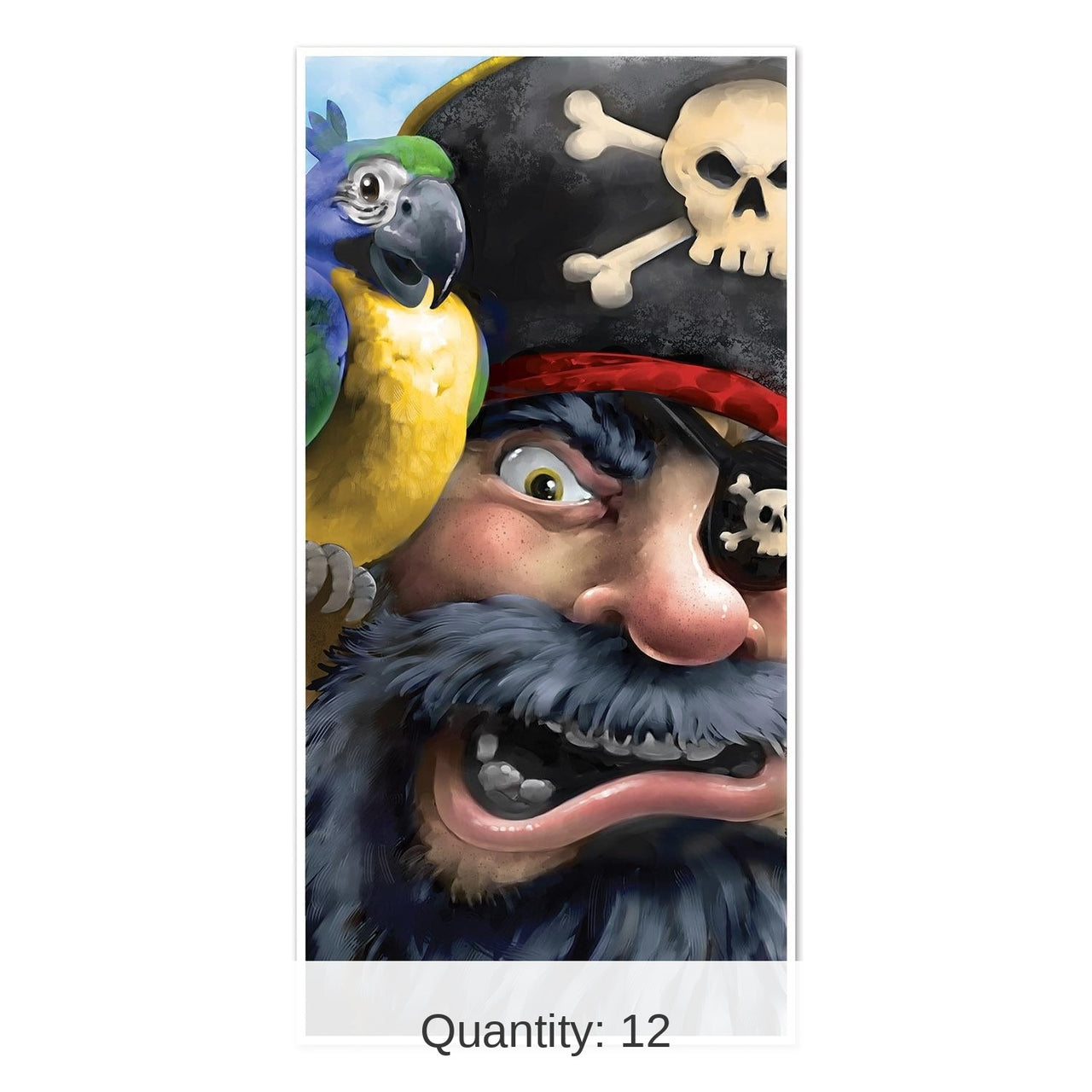 12 Pack Bulk Pirate Party Door Cover