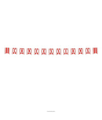 12 Pack Bulk Concessions Party Pennant Banner