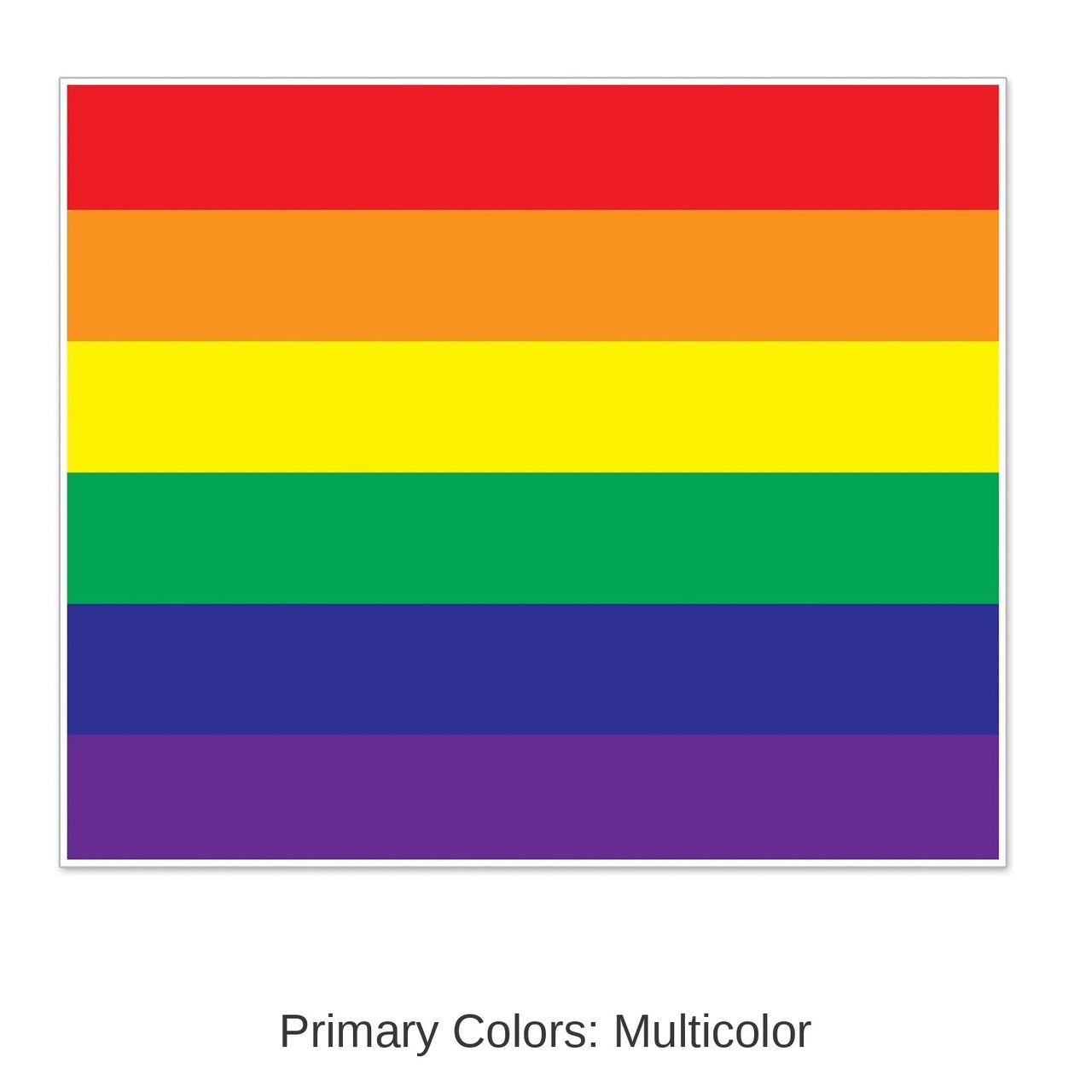 6 Pack Bulk Rainbow Party Insta-Mural Photo Op