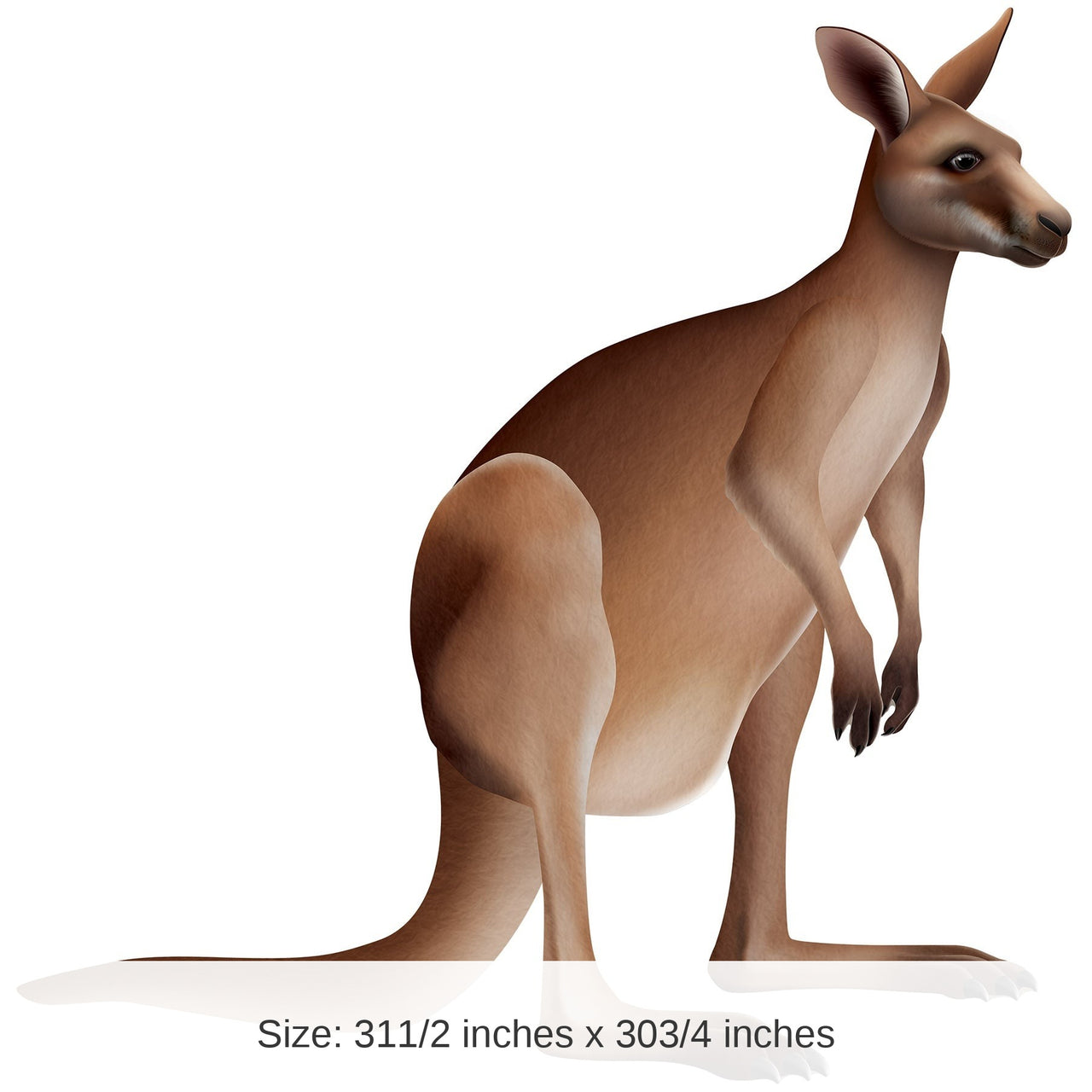 12 Pack Bulk Jointed Kangaroo Wall Decoration