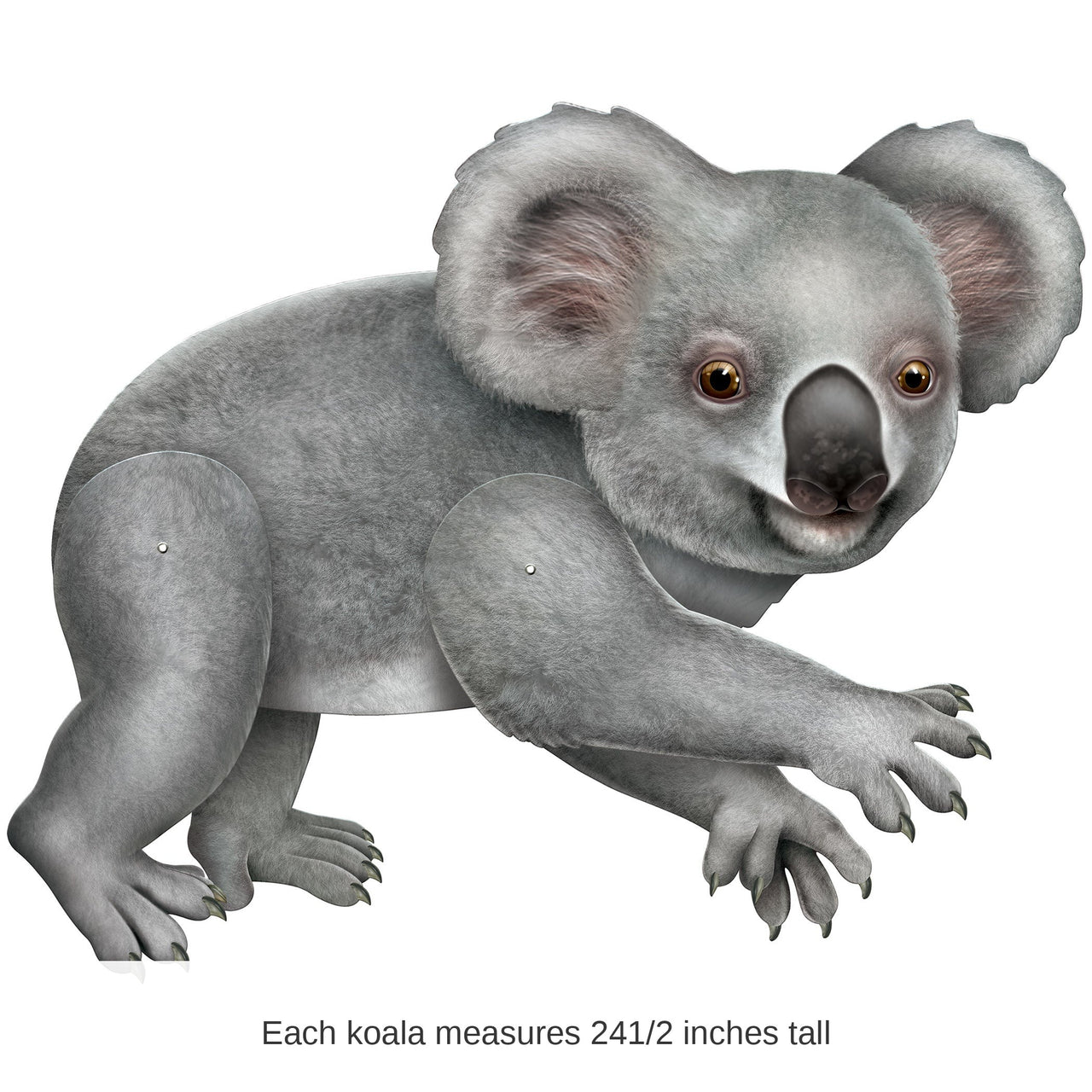 12 Pack Bulk Jointed Koala Figure 24.5 inch Australian Party Decoration