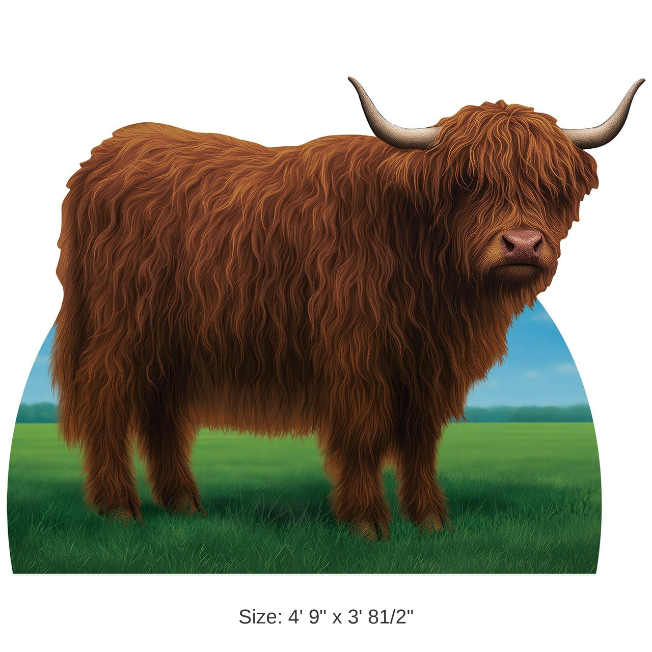 4 Pack Bulk Highland Cow Stand-Up Farm & Western Party Prop