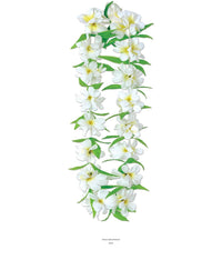 12 Pack Bulk Luau Party Silk 'N Petals Tropical Jasmine Lei