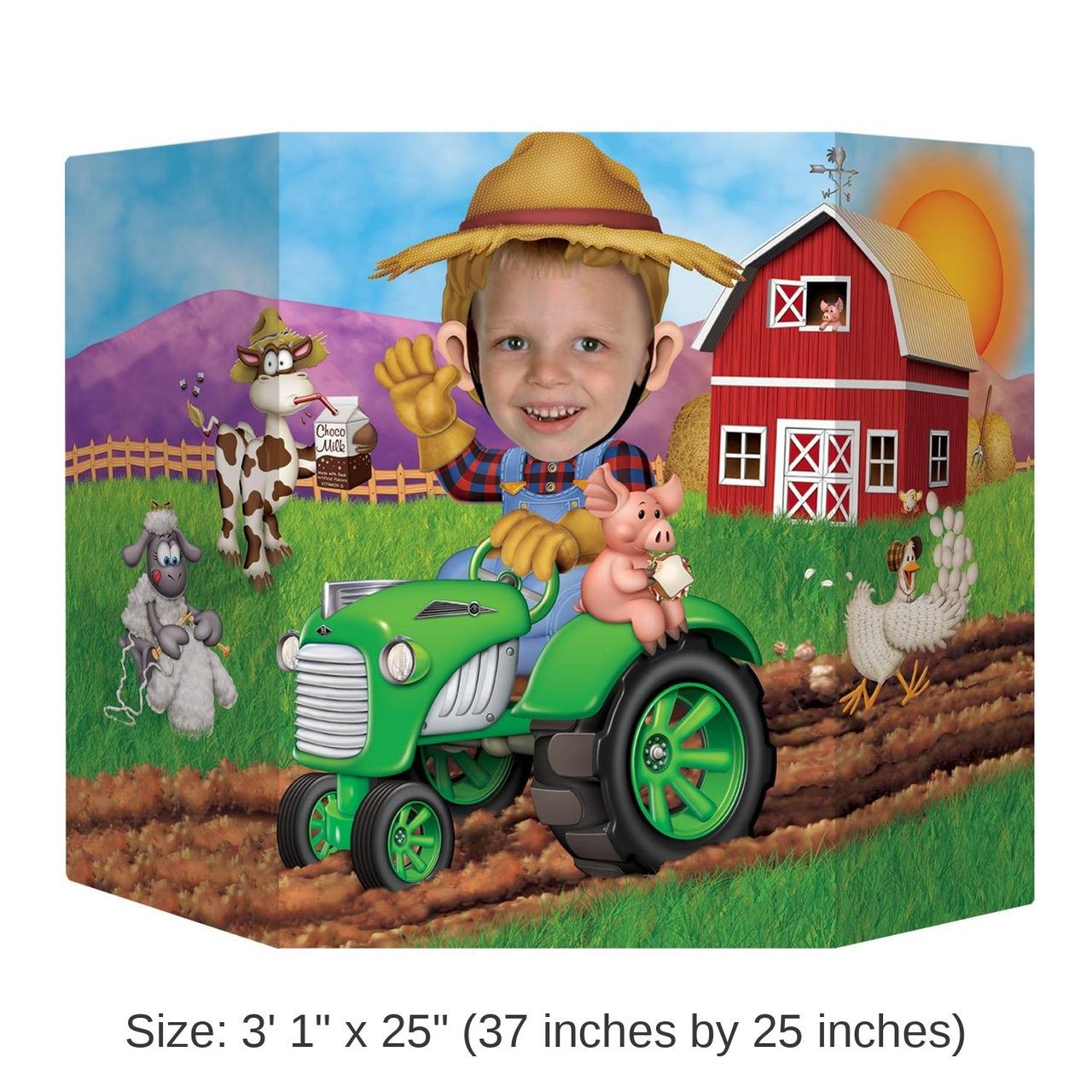 6 Pack Bulk Farm Party Photo Prop