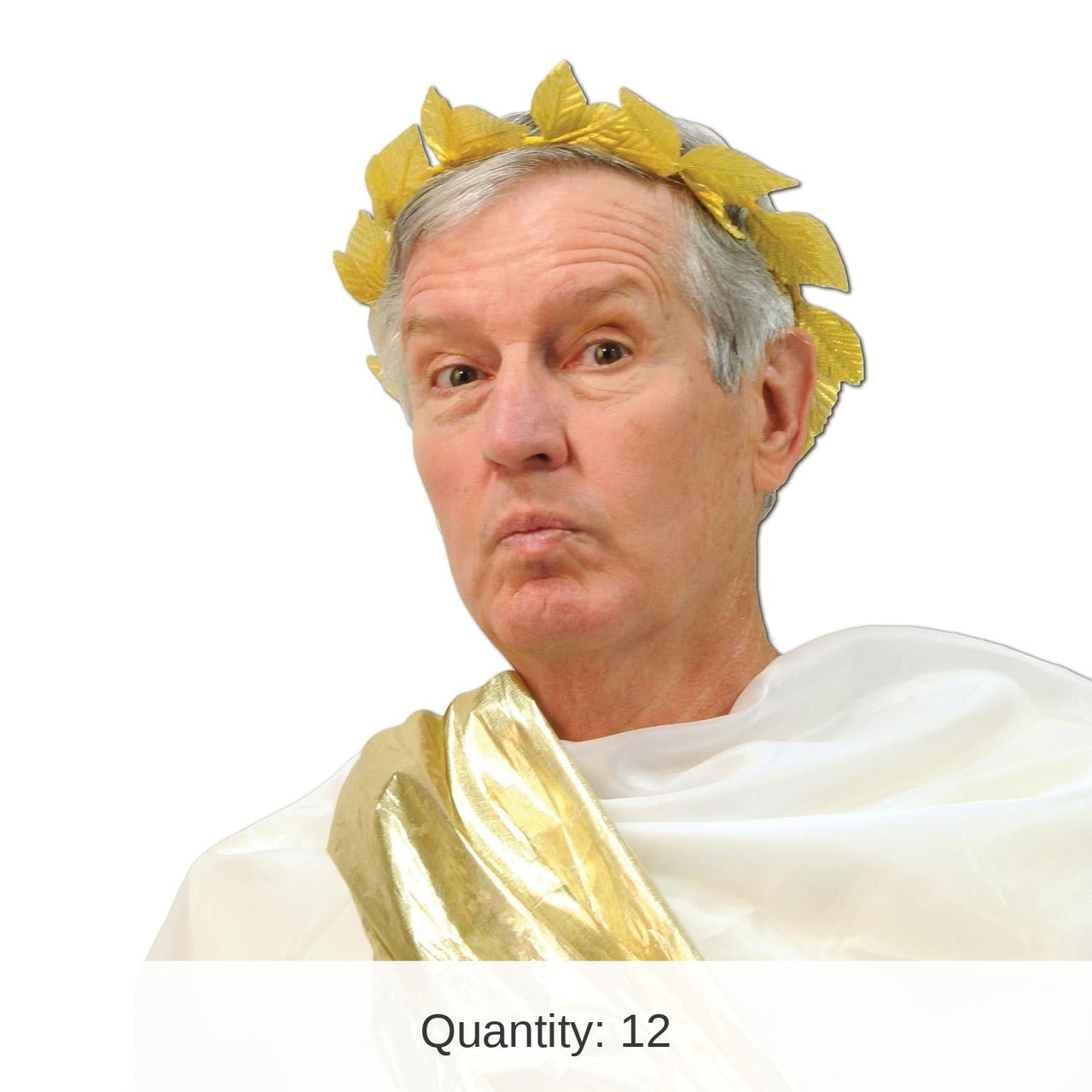 12 Pack Bulk Fabric Roman Laurel Wreath